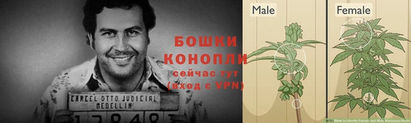 мет Надым
