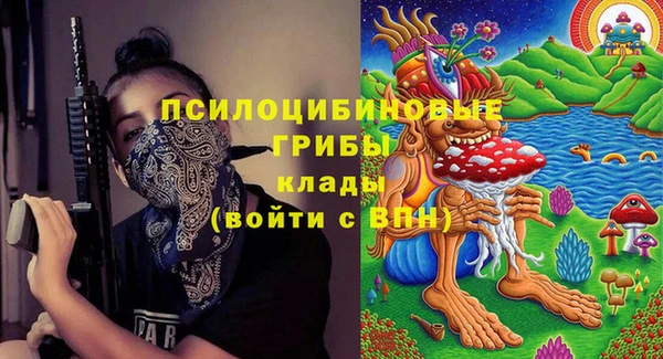 индика Навашино