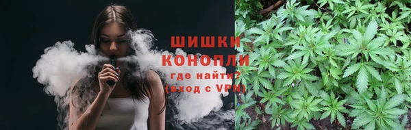 индика Навашино
