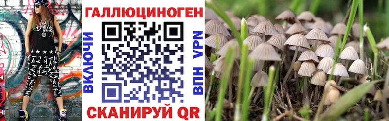 дарк нет какой сайт Нарьян-Мар Галлюциногенные грибы прущие грибы mega ссылки