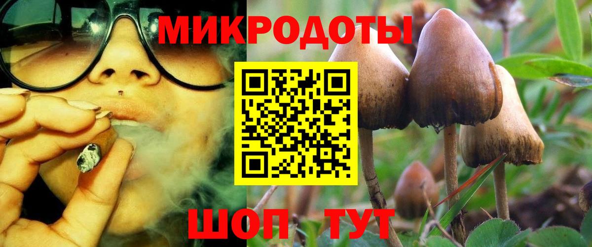 Псилоцибиновые грибы Cubensis Нарьян-Мар