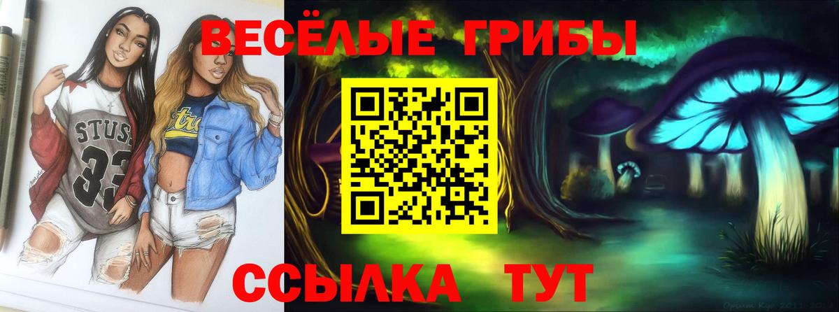 Галлюциногенные грибы Magic Shrooms  Вход с VPN  магазин продажи наркотиков  Нарьян-Мар 
